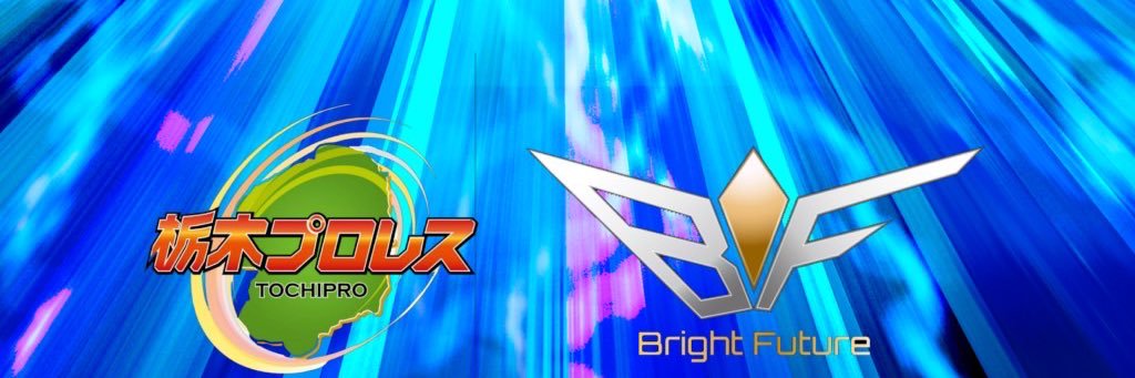 栃木プロレス's banner