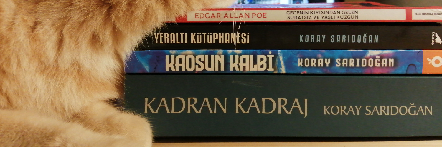 Koray Sarıdoğan's banner