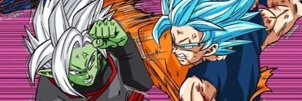 Fury's banner