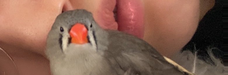 ぜろさん's banner