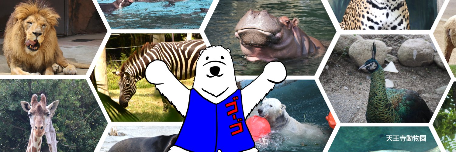 天王寺動物園［公式］'s banner