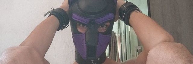 LoserFag's banner