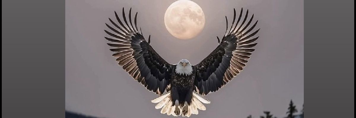 AdoniS🦅🖤🤍's banner