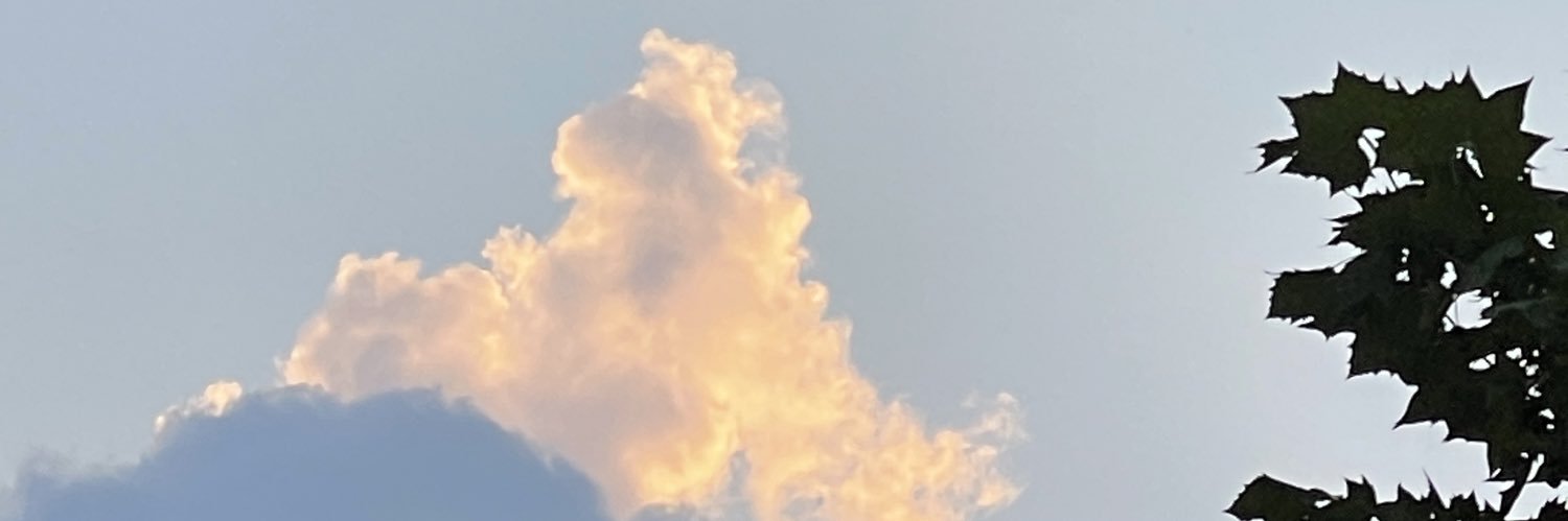 Naaaaako's banner