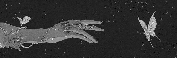 Z e N's banner