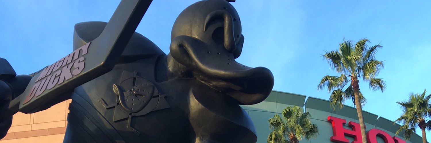 Wild Wing's banner