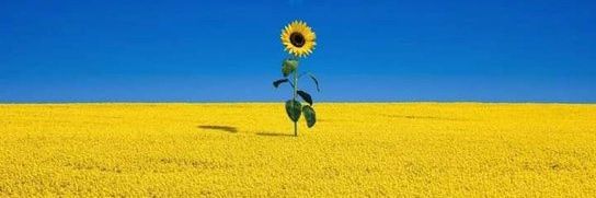 Fíla Srp 🇨🇿🧡🇺🇦🇵🇱's banner