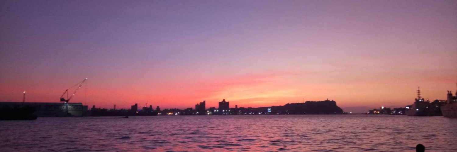 羋羋兒🌸【夢女模式】's banner