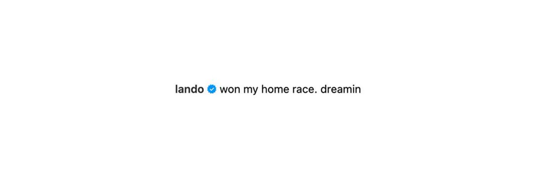dani's banner