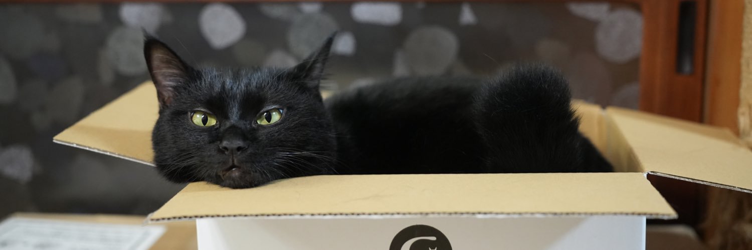黒猫つくねちゃん太しっぽ's banner