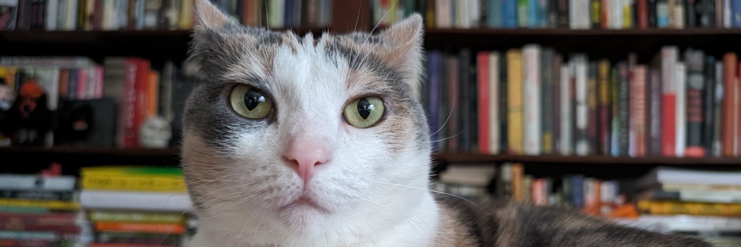 Skuttlebutt's banner