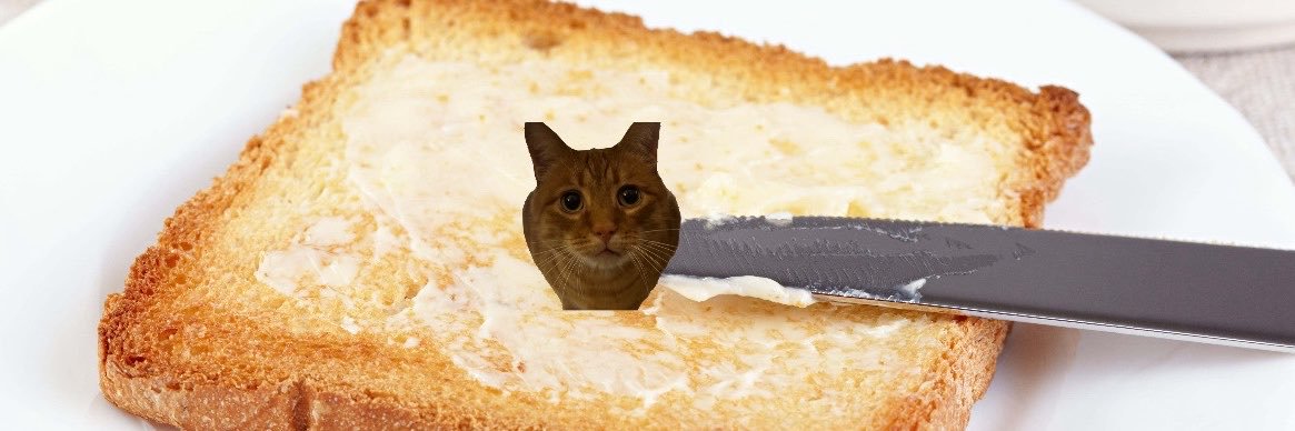 toast thoughts 😶‍🌫️'s banner