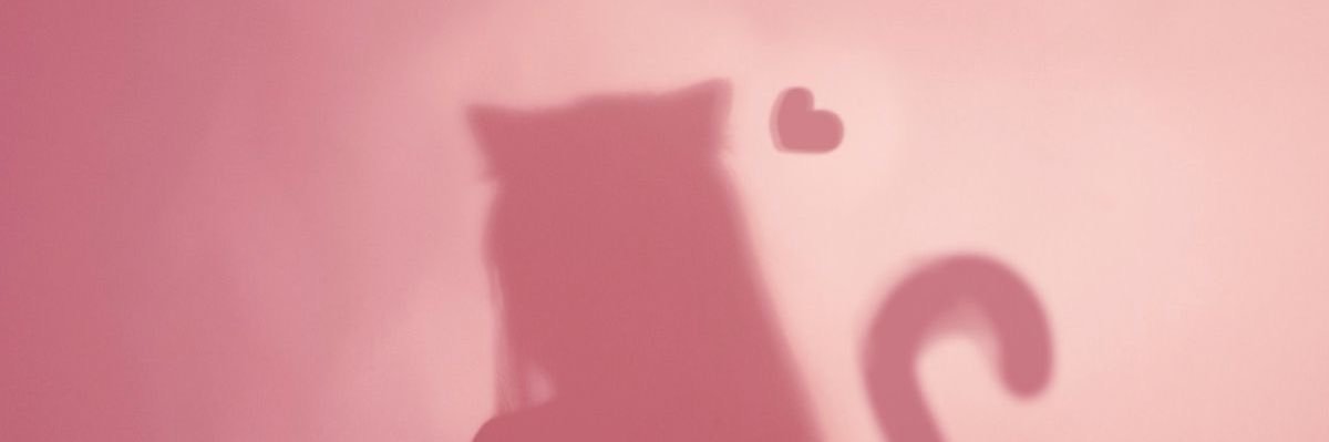 W i n X's banner