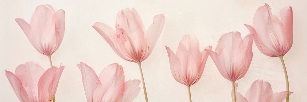 gen's banner
