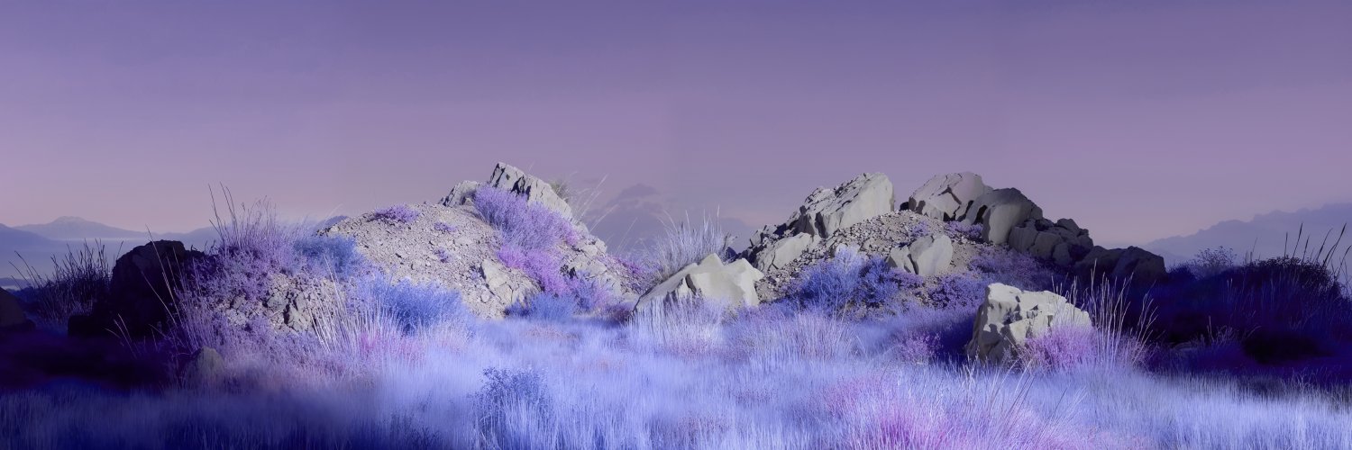 ͏͏͏͏͏͏angelo's banner
