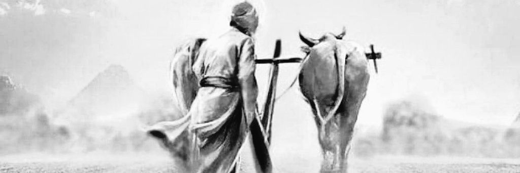 ਗੁਰਵਿੰਦਰ's banner