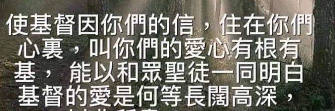 一粒麦子✝️（弟兄）'s banner