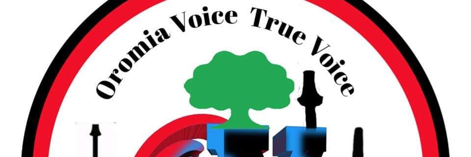 Oromia Voice's banner