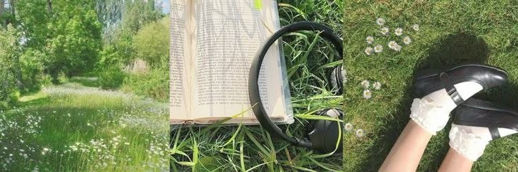 𝓶𝓲𝓵𝓴𝓲𝓮🌺's banner