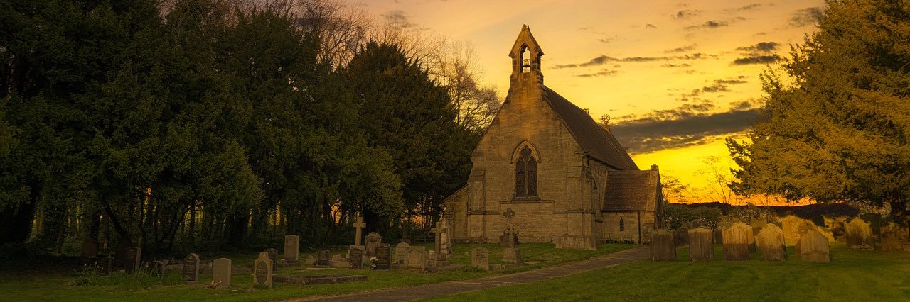 Save the Parish's banner
