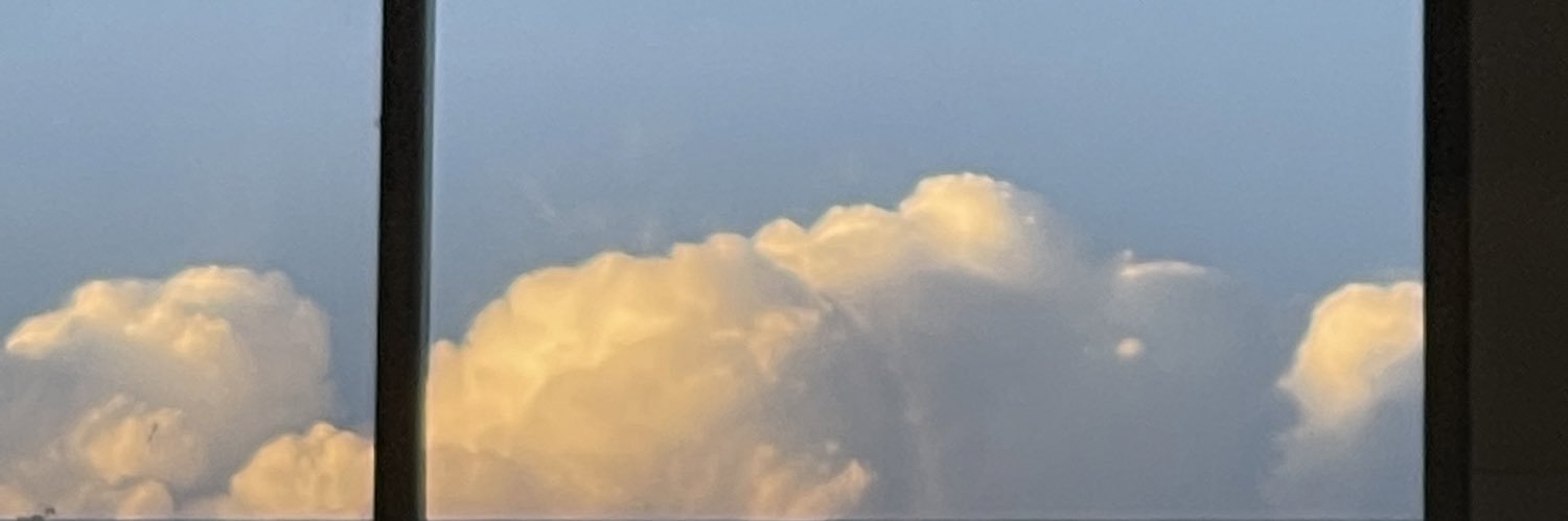 P☻'s banner