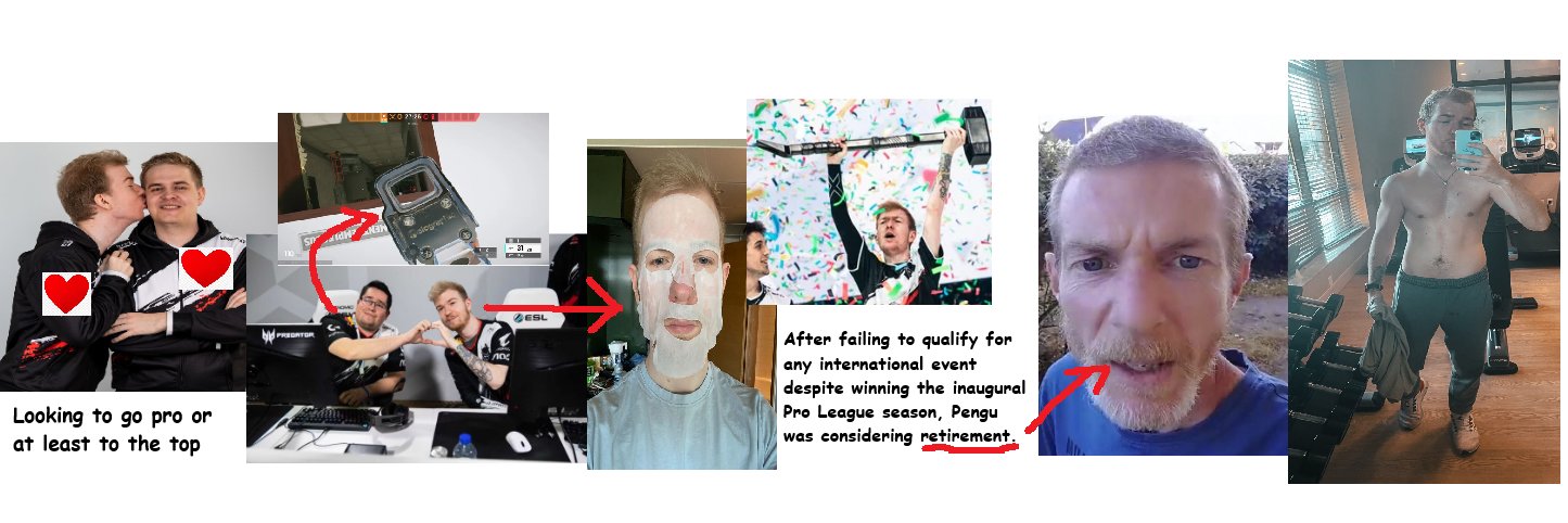 Pengu's banner