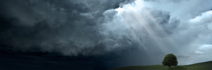 Critical Thinker's banner