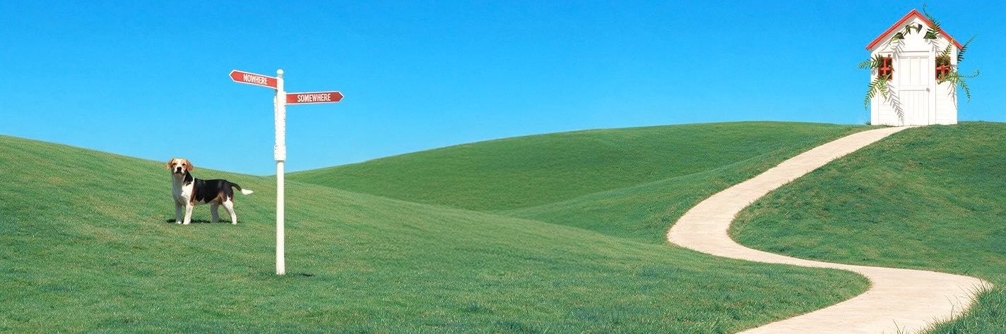 milo - Hey, Somebody🐶's banner