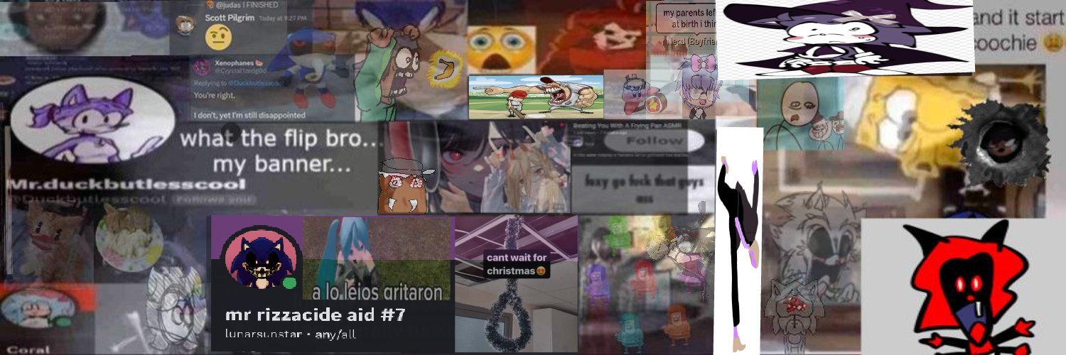 Mr.duckbutlesscool's banner
