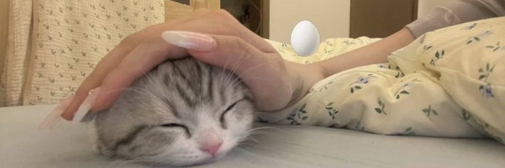 こねこ日和｜Kitten Days's banner