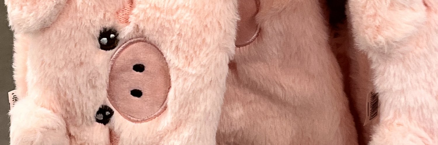 一只小猪罢了's banner