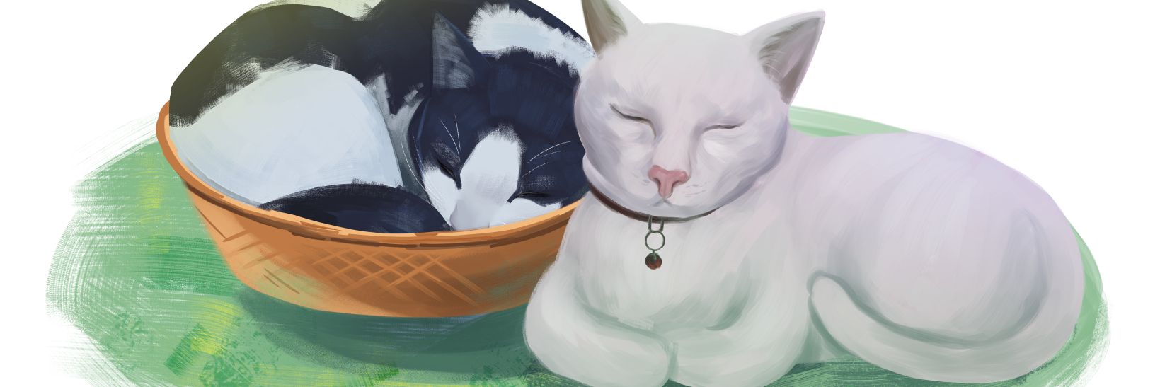 🄽🄴🄸 (ℂ𝕆𝕄𝕄𝕀𝕊𝕊𝕀𝕆ℕ𝕊 ℂ𝕃𝕆𝕊𝔼𝔻)'s banner