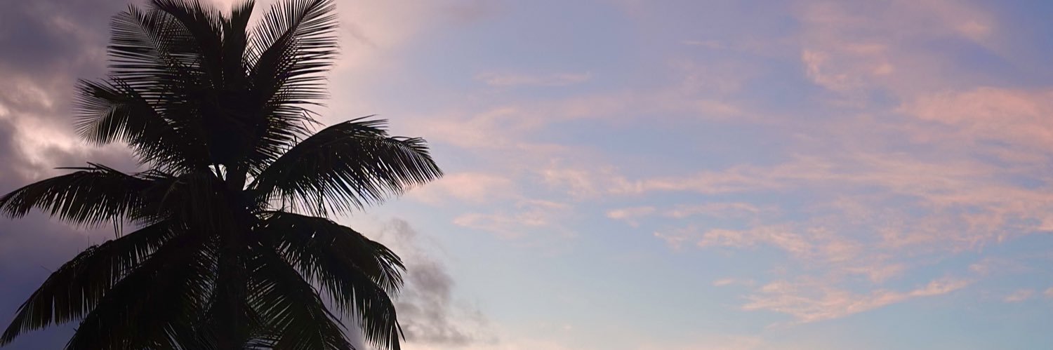 1313's banner
