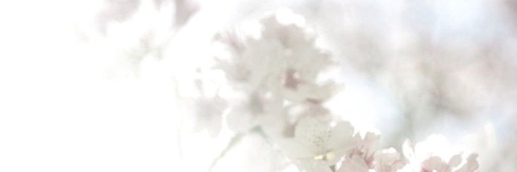 lilac withers ⏦'s banner