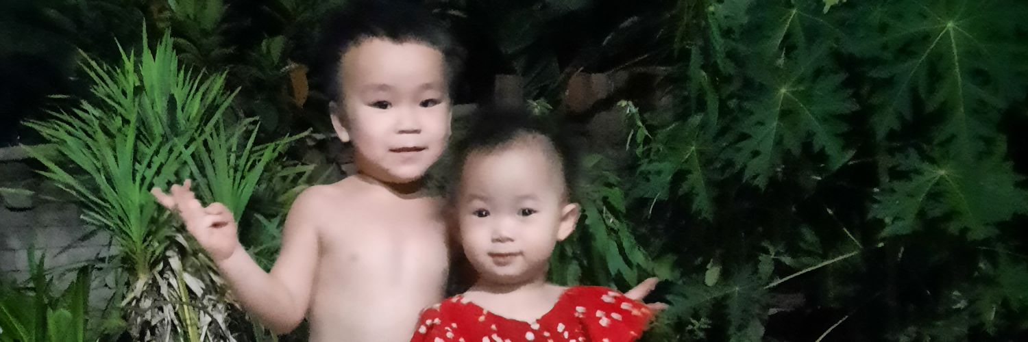 Dương Gia's banner