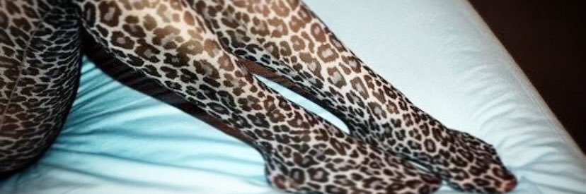 no's banner