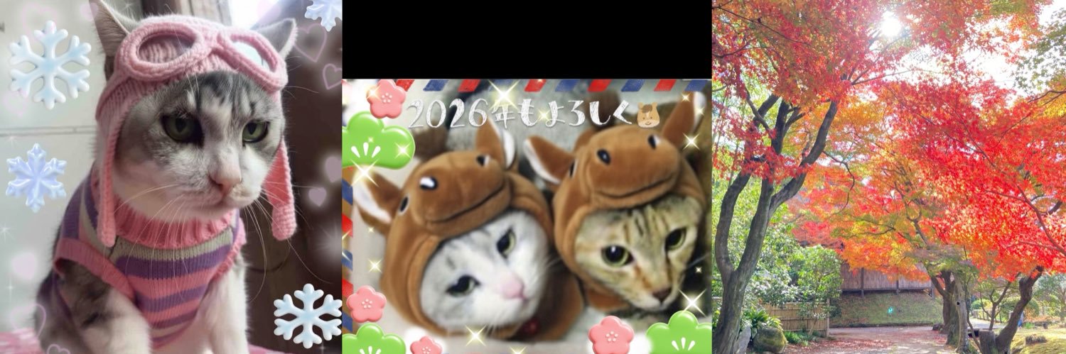 🌻向日葵🌻🐰Always want to be myself.🍎🐿's banner
