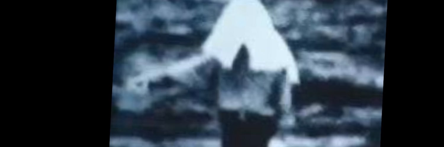 オウマガトキのヒロ's banner
