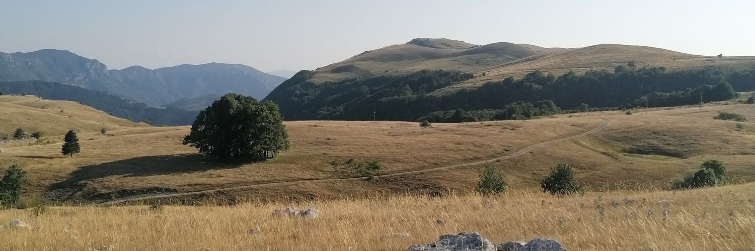 Stevo Dračinar's banner