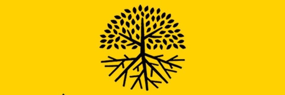 Alomonationofficial's banner