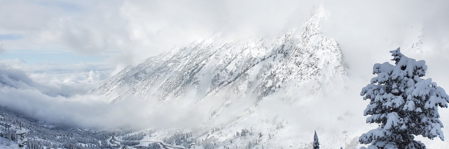 The Daily POW's banner