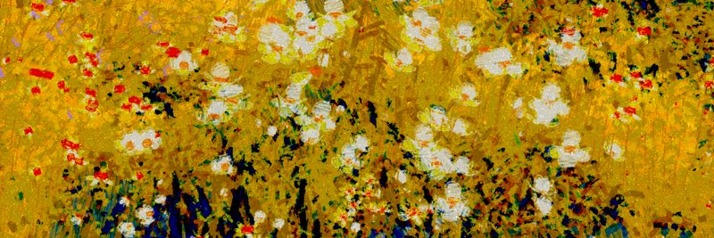 Nat Sarkissian's banner