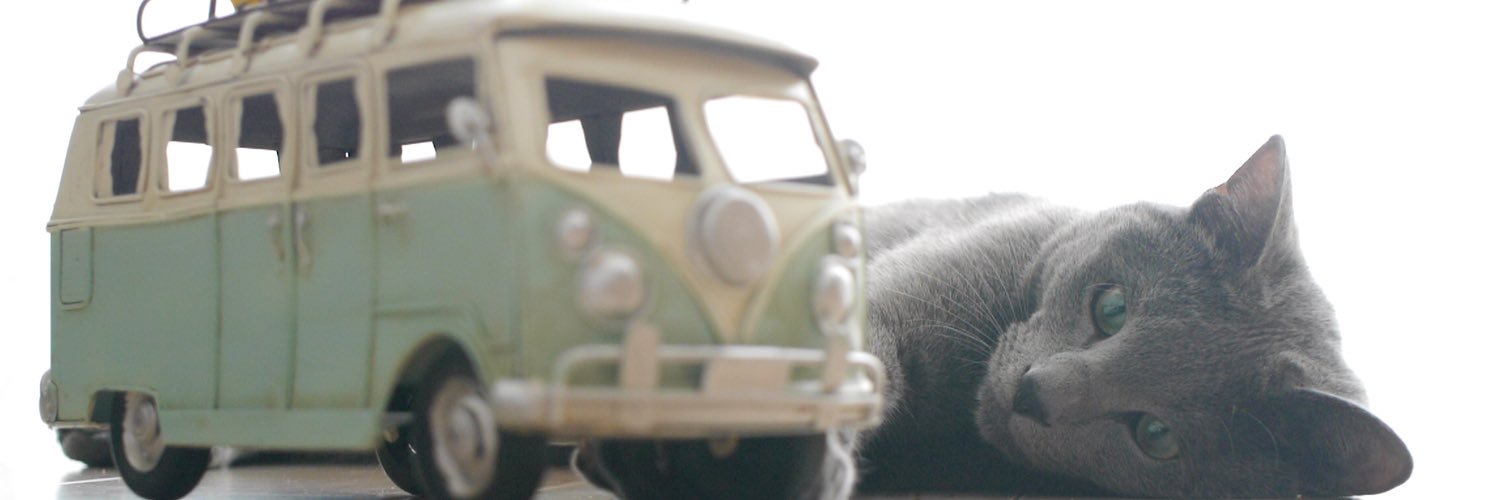 HI-cat's banner