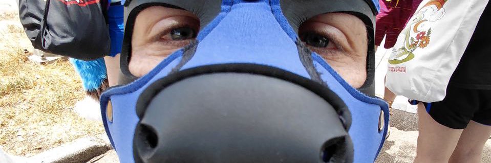lolzowl 🏳️‍🌈's banner