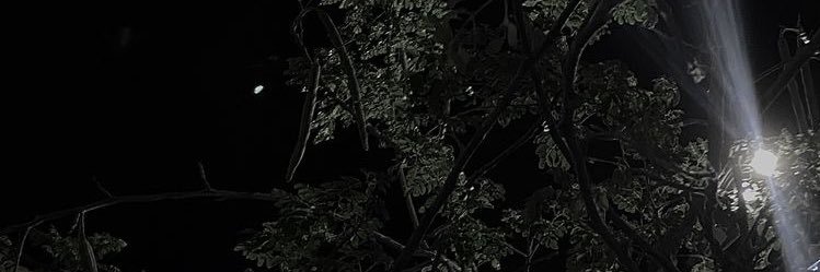 $'s banner