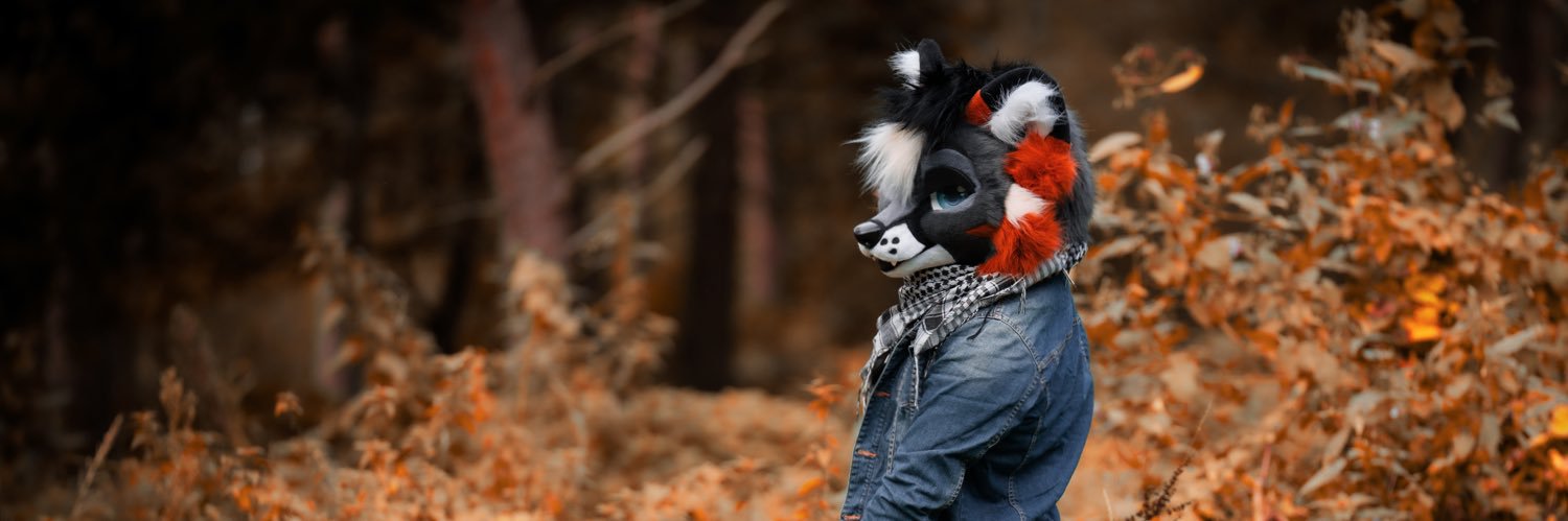 Jekyllfox's banner