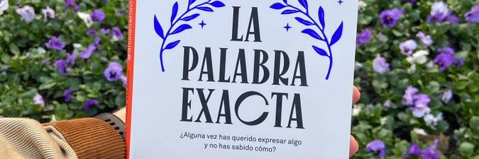Diccionario VIP's banner