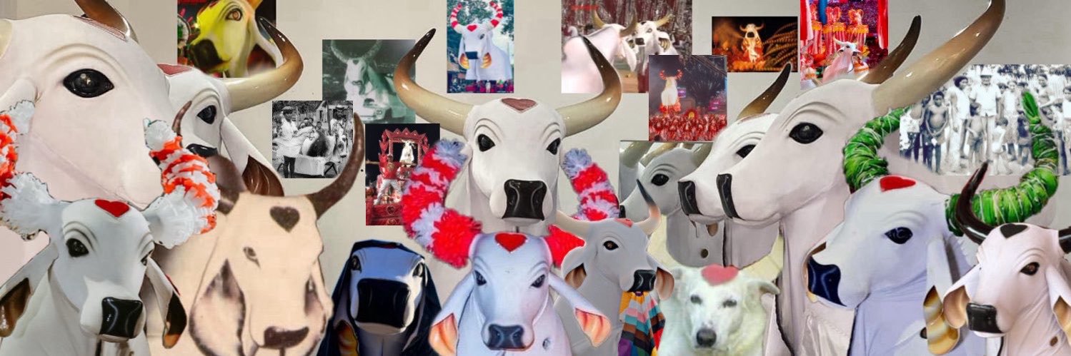 Acervo Boi Garantido's banner