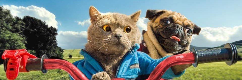 Tuna's banner