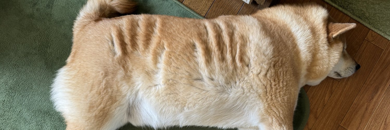 柴犬おもち's banner